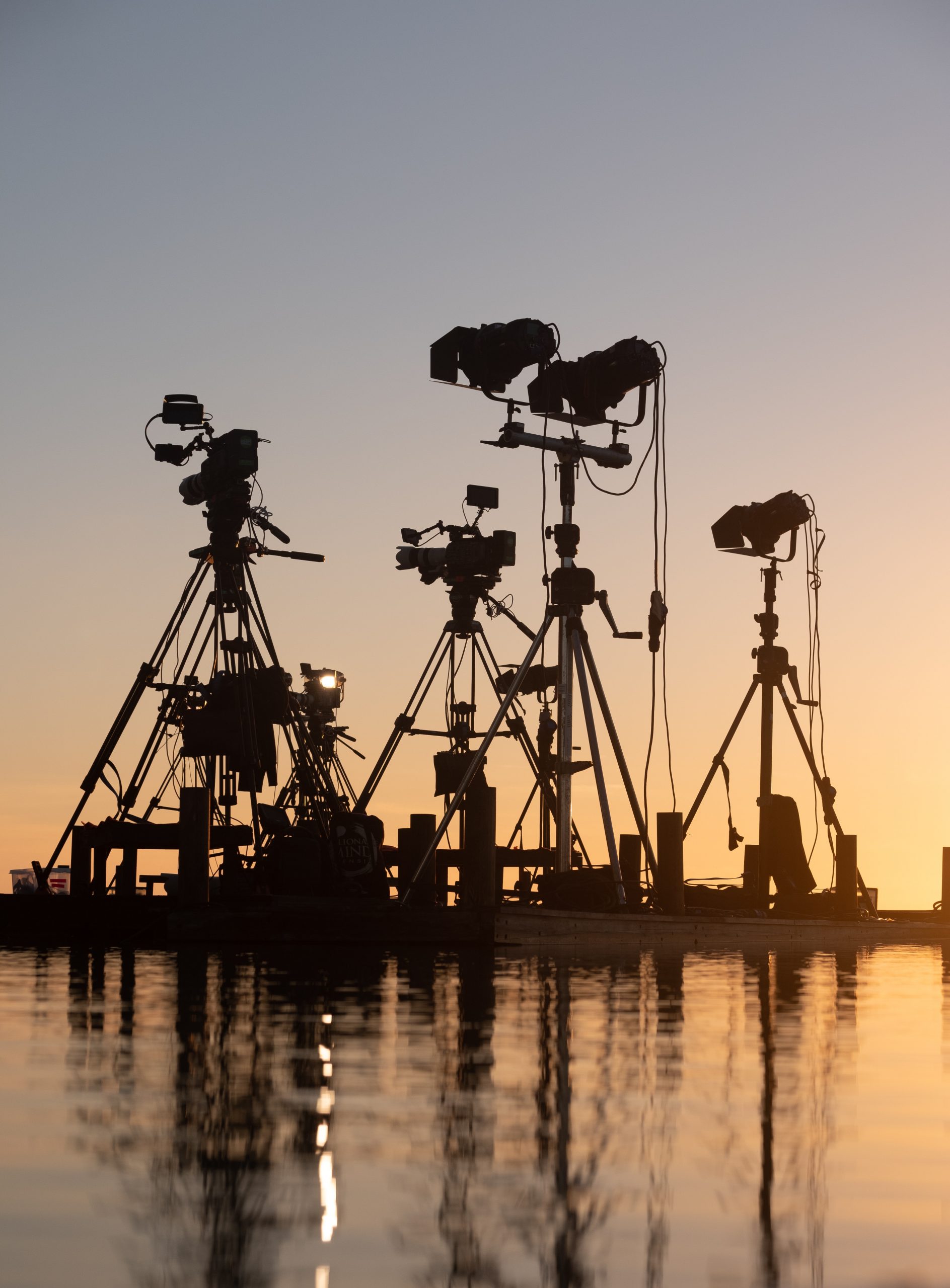 Auf dem roten Teppich: Filmfestival